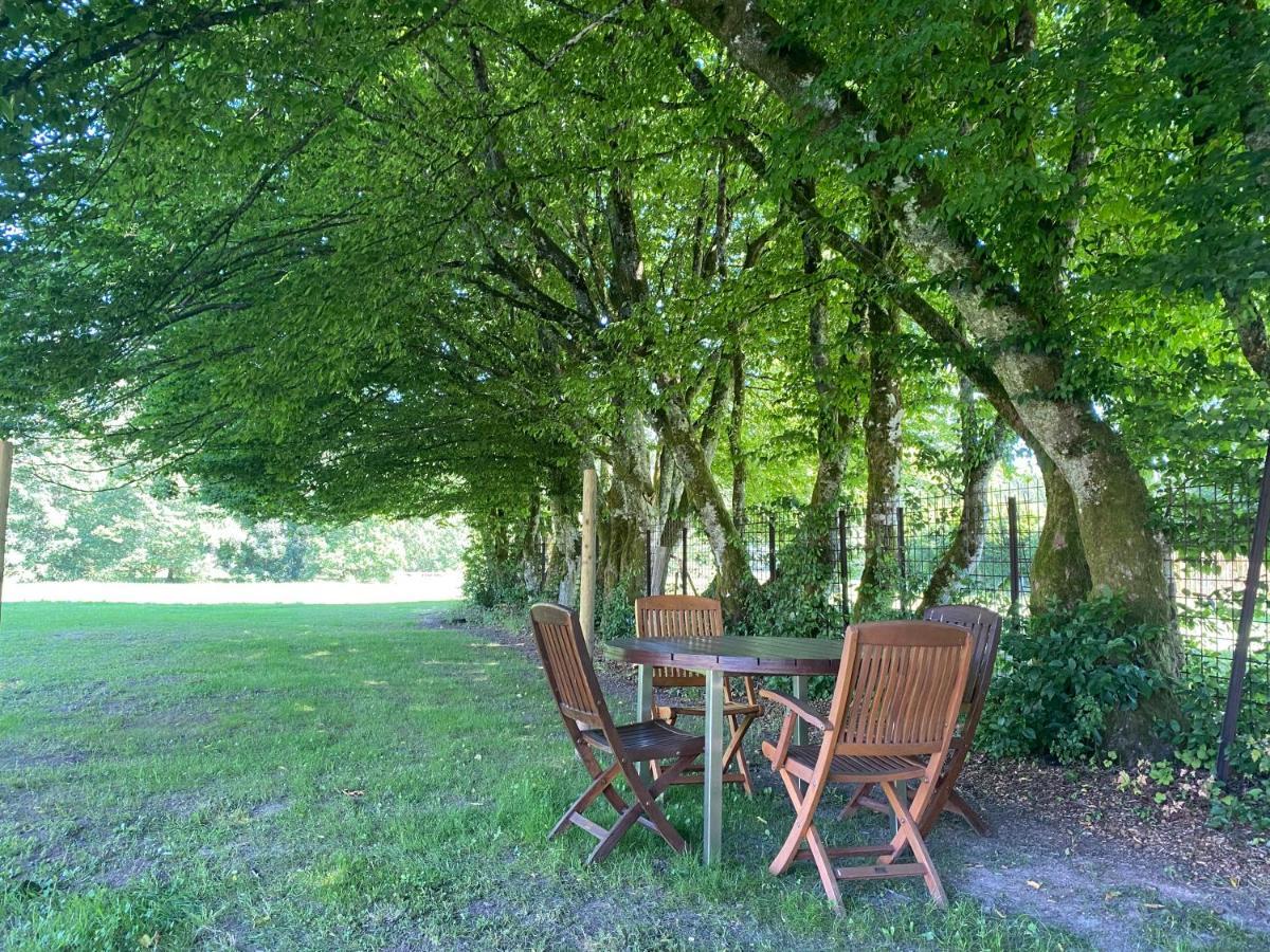 Le Heron - Gite De Charme Cloture, Acces A La Riviere - 6 Ou 10 Personnes Fauvillers Exterior foto